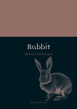 Rabbit by Victoria Dickenson
