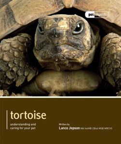 Tortoise by Lance Jepson