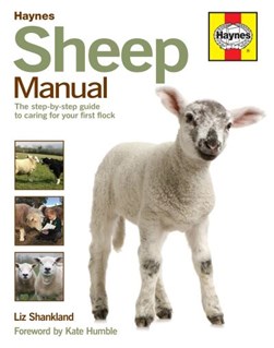 Haynes sheep manual by Liz Shankland