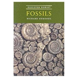 Fossils by Richard Edmonds