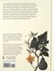Kew Gardeners Guide to Growing Veg H/B by Hélèna Dove