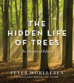 Hidden Life of Trees H/B by Peter Wohlleben