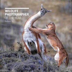 Wildlife Photographer of the Year. Portfolio 29 by Rosamund Kidman Cox