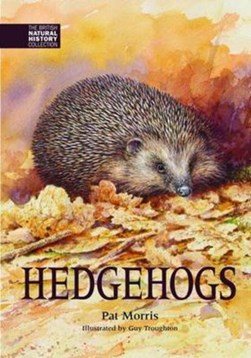 Hedgehogs by Pat Morris