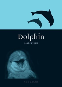 Dolphin by Alan Rauch