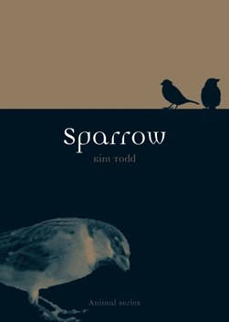 Sparrow by Kim Todd