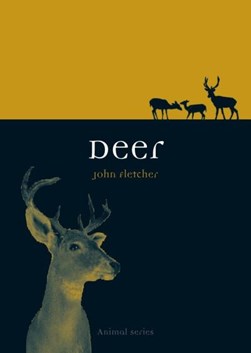 Deer by John Fletcher