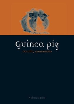 Guinea pig by Dorothy Yamamoto