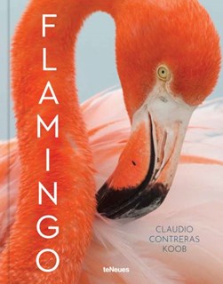 Flamingo by Claudio Contreras