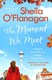 The moment we meet by Sheila O'Flanagan