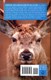 Scotland Rough Guide by Greg Dickinson