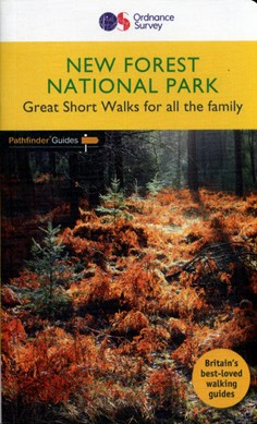 New Forest National Park by David Foster