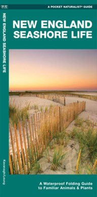New England Seashore Life by James Kavanagh