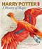 Harry Potter A History Of Magic H/B by British Library