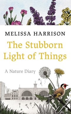 Stubborn Light Of Things H/B by Melissa Harrison