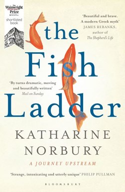 The fish ladder by Katharine Norbury