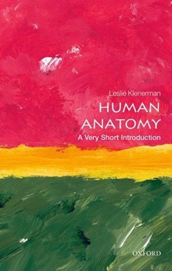 Human anatomy by Leslie Klenerman