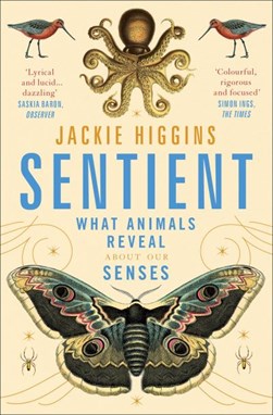 Sentient What Animals Reveal About Human Senses P/B by Jackie Higgins