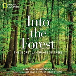 Into the forest by Susan Tyler Hitchcock