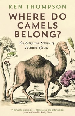 Where do camels belong? by Ken Thompson