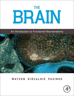 The brain by Charles Watson