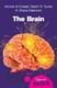 The brain by Ammar Al-Chalabi