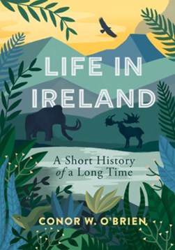 Life In Ireland TPB by Conor W. O'Brien