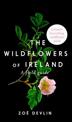 The wildflowers of Ireland by Zoë Devlin