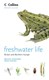 Freshwater Lif by Malcolm Greenhalgh