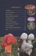 Collins Complete British Mushrooms & Toads by Paul Sterry
