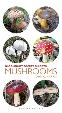 Pocket guide to mushrooms by John Harris