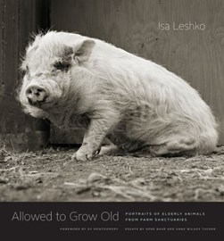 Allowed to grow old by Isa Leshko