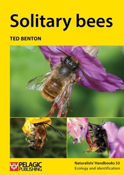 Solitary bees by Ted Benton