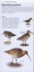 Rspb Whats That Bird  P/B by Rob Hume