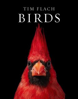 Birds H/B by Tim Flach