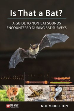 Is that a bat? by Neil Middleton