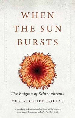 When the sun bursts by Christopher Bollas