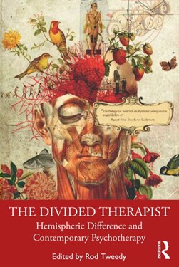 The divided therapist by Roderick Tweedy