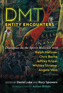 DMT entity encounters by David Luke