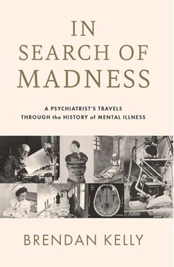 In search of madness by Brendan Kelly