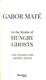 In The Realm Of Hungry Ghosts P/B by Gabor Maté