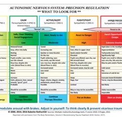 Autonomic Nervous System Table: Wall Poster by Babette Rothschild