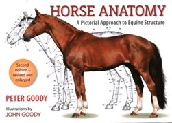 Horse anatomy by Peter Charles Goody