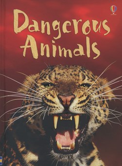 Dangerous animals by Rebecca Gilpin