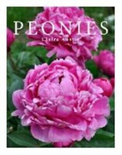 Peonies by Claire Austin