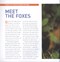 Exploring the world of foxes by Tracy C. Read