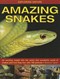 Amazing snakes by Barbara Taylor
