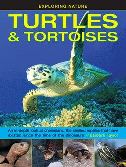 Turtles & tortoises by Barbara Taylor