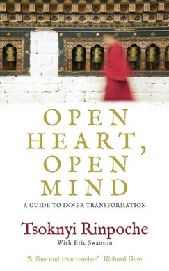 Open Heart Open Mind Tpb by Tsoknyi Rinpoche