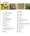 RHS How to Garden New Edition H/B by Royal Horticultural Society